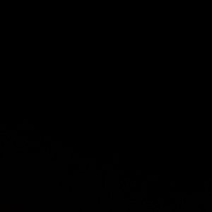 Meet your Posher, Gabriel